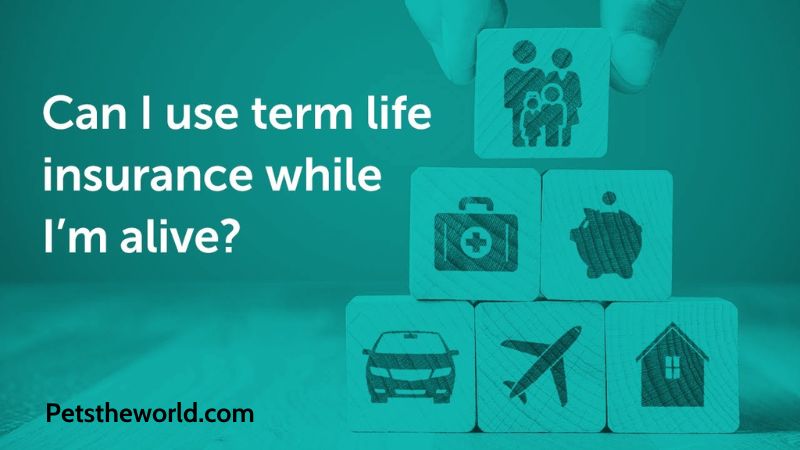 Can You Use Term Life Insurance While Alive?