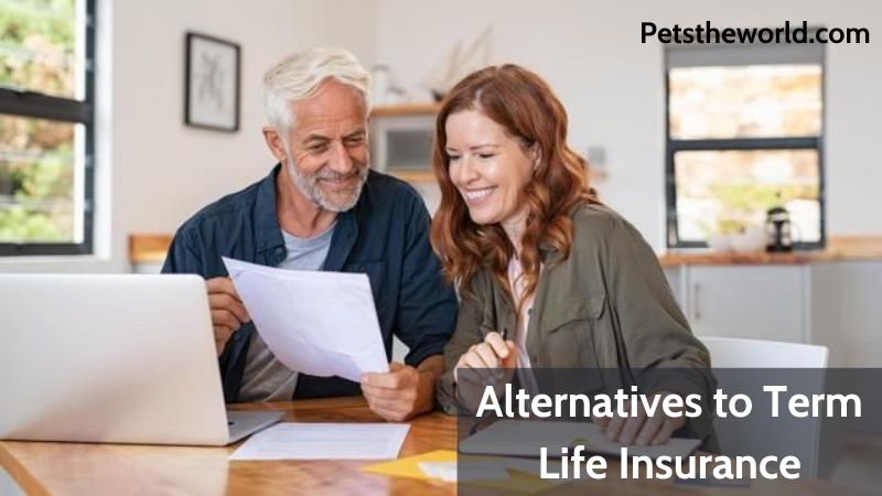 Alternatives to Term Life Insurance