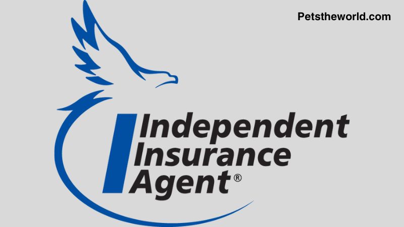 Work with an Independent Insurance Agent