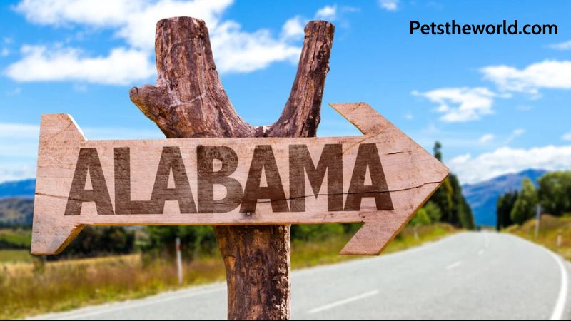 Alabama Term Life Insurance