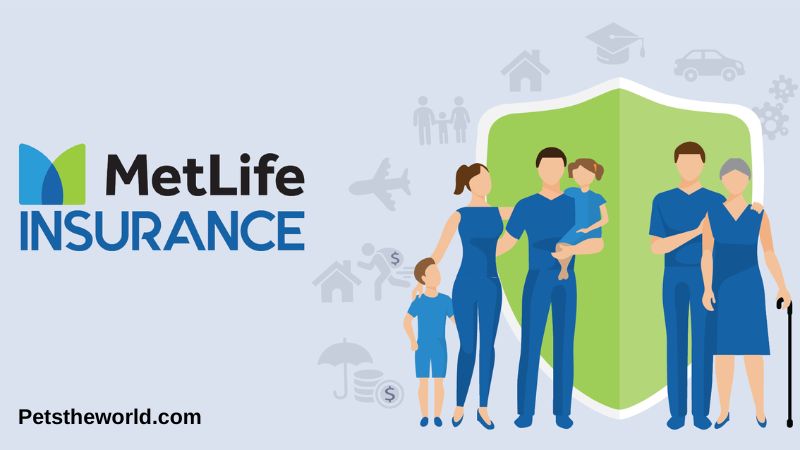 Term Life Insurance Companies