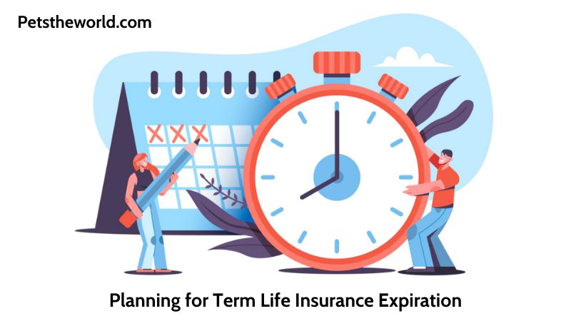 Planning for Term Life Insurance Expiration