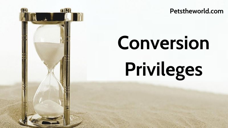 Conversion Privileges