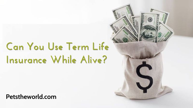Can You Use Term Life Insurance While Alive