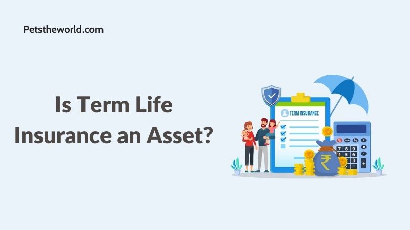 Is Term Life Insurance an Asset?
