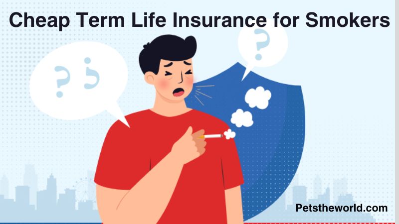 Cheap Term Life Insurance for Smokers
