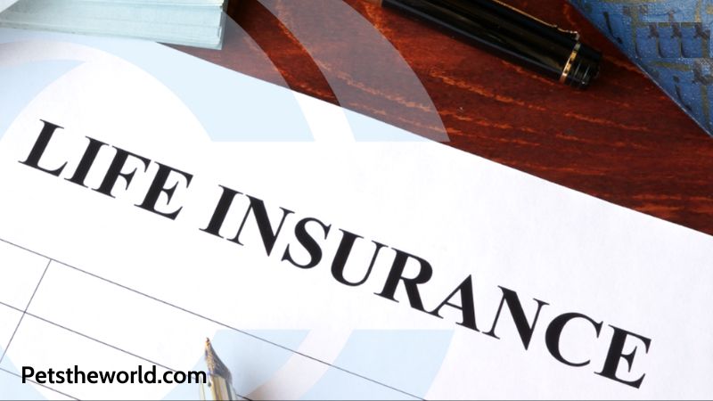 Key Considerations When Exploring Alabama Term Life Insurance