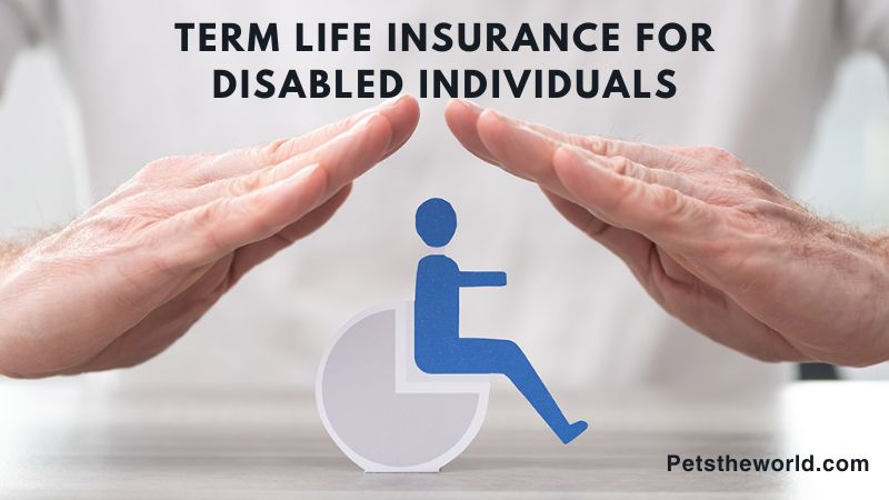 Term Life Insurance for Disabled Individuals