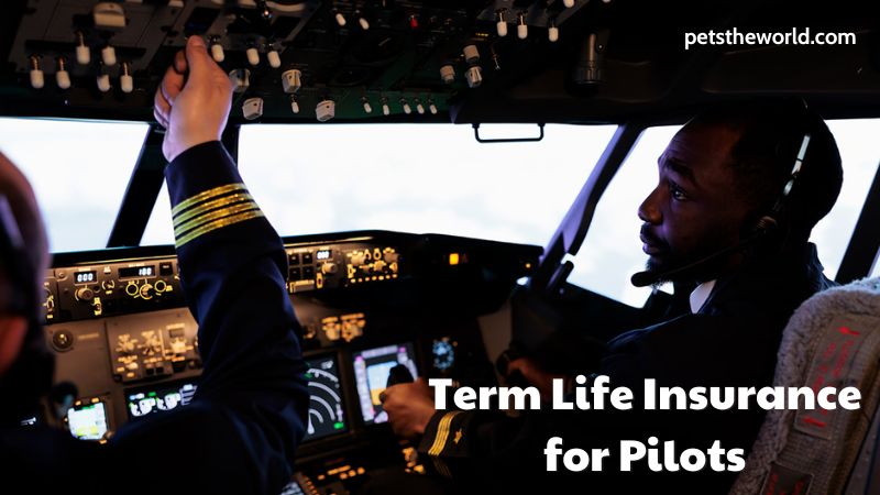 Term Life Insurance for Pilots