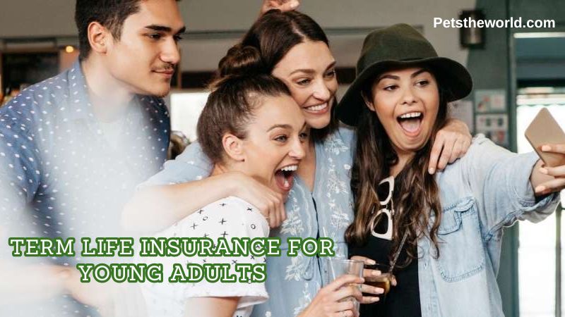 Comprehensive Insights into the Significance of Term Life Insurance for Young Adults