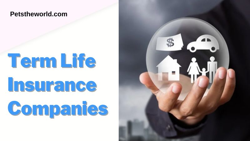 Top 10 Term Life Insurance Companies: A Comprehensive Guide