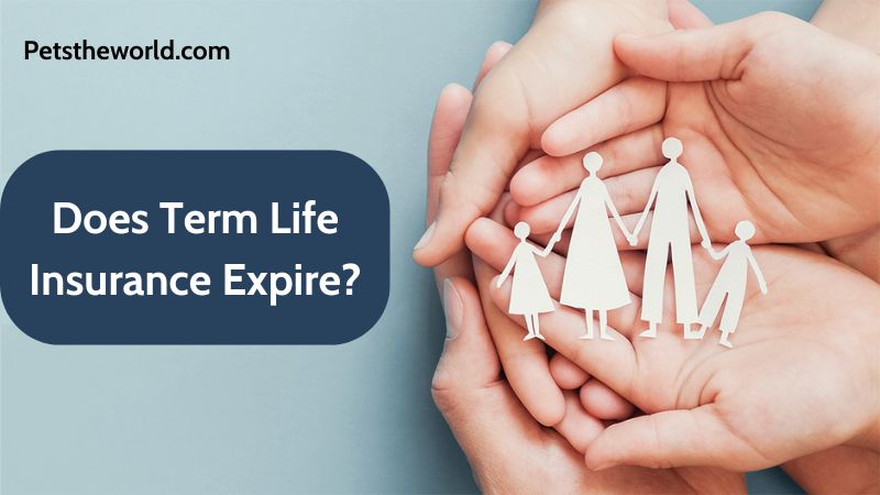 Does Term Life Insurance Expire?